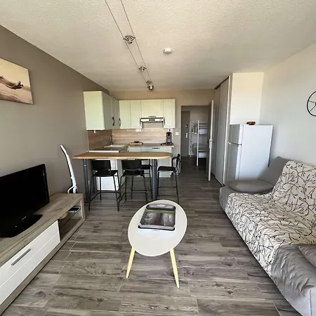 Avec Piscine, Parking, Clim, A 50m - Fr-1-702-69 Agde