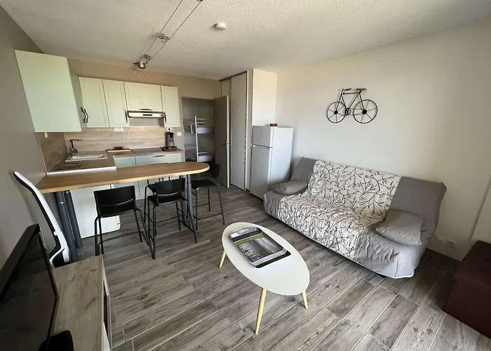 Avec Piscine, Parking, Clim, A 50m - Fr-1-702-69 公寓 *