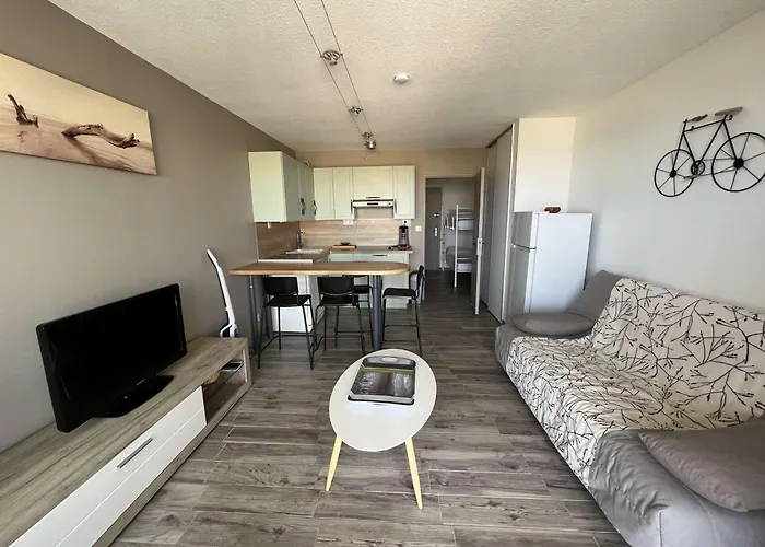 Avec Piscine, Parking, Clim, A 50m - Fr-1-702-69 阿格德