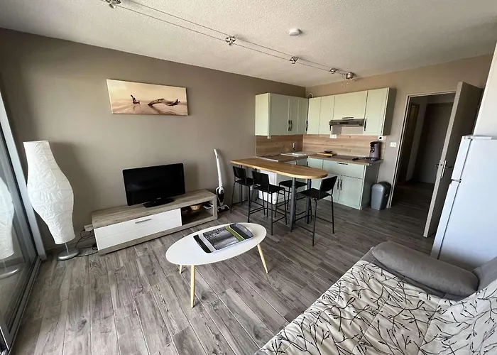 Avec Piscine, Parking, Clim, A 50m - Fr-1-702-69 * 阿格德